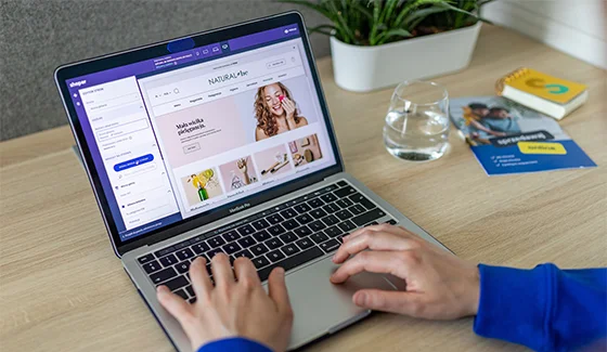 E-commerce Businesses